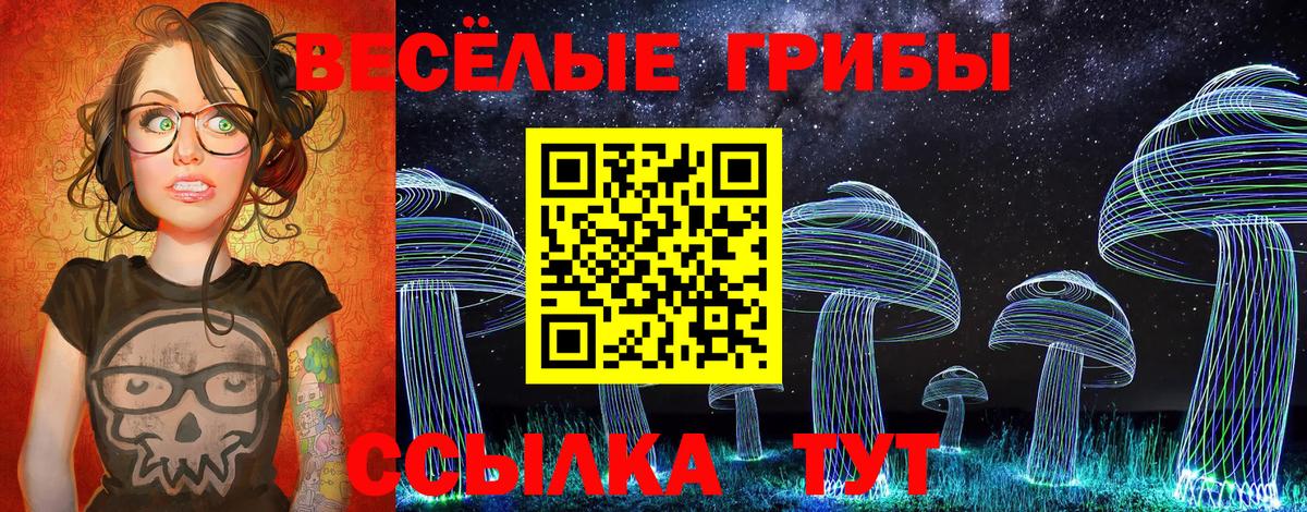 Псилоцибиновые грибы GOLDEN TEACHER  Вход с VPN  как найти   Обнинск 